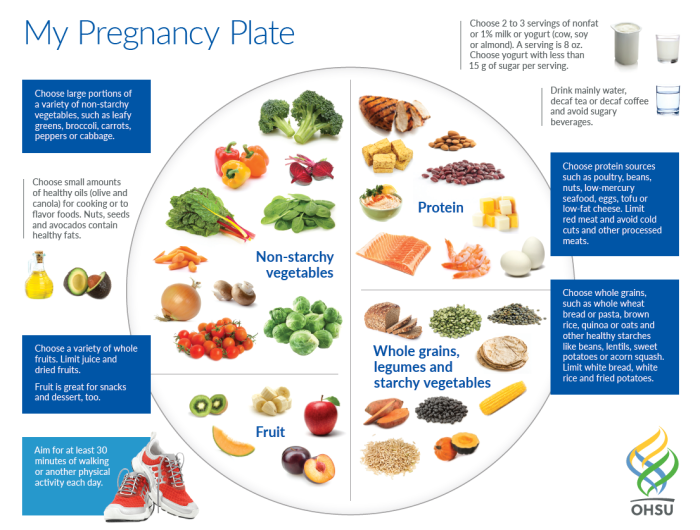 Balanced diet guidelines for pregnant women