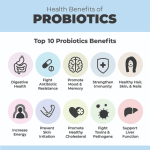 Benefits of probiotics for immune support